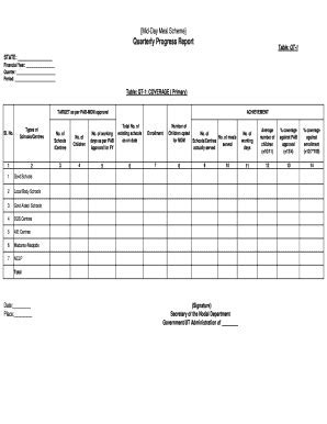 mdm daily report.